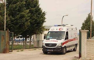 Hayvan kesimi bırakıp kavgaya tutuştular