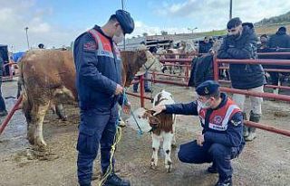 Hayvan pazarında HAYDİ ekiplerinden denetim