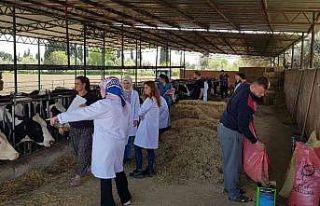Hayvan varlığının korunmasına DEÜ katkısı