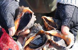 Hayvansal ürün ihracatından 42,2 milyon döviz