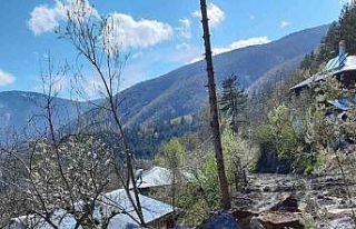 Heyelanda kayaların kapattığı köy yolu ulaşıma...