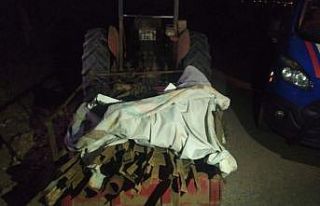 Hırsızlar jandarma devriyesine yakalandı