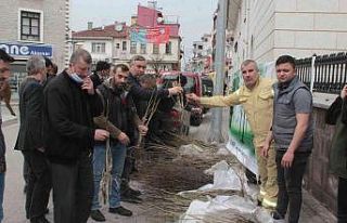 İnebolu’da vatandaşlara ücretsiz meyve fidanı...