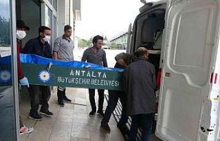 Irmakta cesedi bulunan üniversite öğrencisinin...