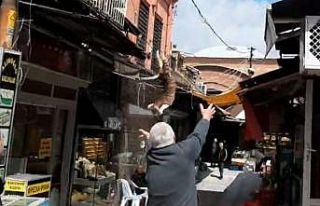 İş yerinin tabelasında mahsur kalan kediyi kurtarmak...