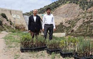 İsabeyli’de 500 fidan toprakla buluştu