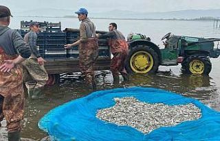 İznik Gölü’nde gümüş balığı sezonu açıldı