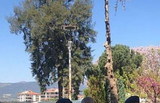 Jandarma ekipleri, aranan şahısları kıskıvrak...