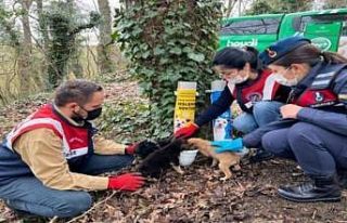 Jandarma sessiz dostları unutmadı