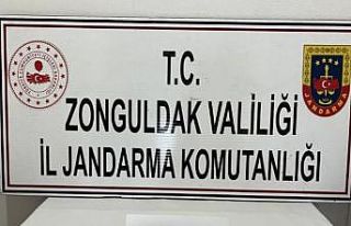 Jandarma şüphelendiği araçta 2 adet salep soğanı...