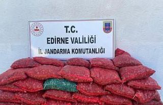 Jandarmadan kaçak midye operasyonu
