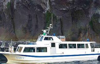Japonya’da kaybolan turist botundaki 9 kişi bulundu