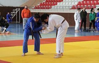 Judoda Analig heyecanı sona erdi