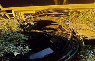 Kablo hırsızları yakalandı