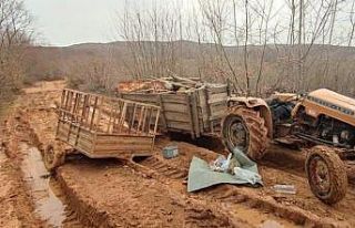 Kaçak kesim yapan 2 kişi suç üstü yakalandı