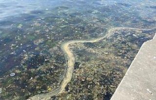 Kadıköy’de müsilajı andıran görüntü