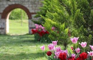 Kağıthane’de lale mevsimi başladı