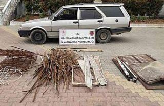 Kahramanmaraş’ta bağ evinden hırsızlığa 2...