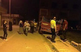 Kamyonet direğe çarptı: 3 yaralı