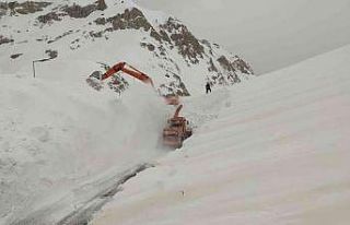 Kar kalınlığı 6 metreyi buldu, ekipler yolu bulmakta...