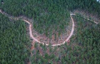 Karaisalı’da yangın emniyet yolları ve şeritleri...