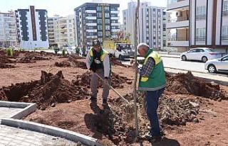Karaköprü’de yeni parklar ağaçlarla yeşilleniyor