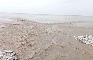 Karlar eridi, Karadeniz’in rengi kahverengiye döndü