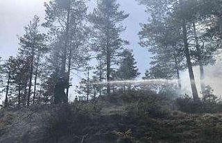 Kastamonu’da orman yangını, polis ekiplerinin...