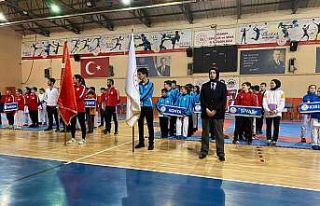 Kayseri Analig Karate takımları yarı finale yükseldi