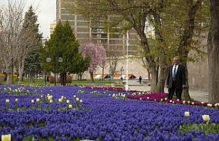 Kayseri’de 1 milyon çiçek açtı