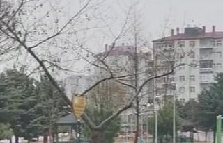Kayseri’de ‘Nisan karı’