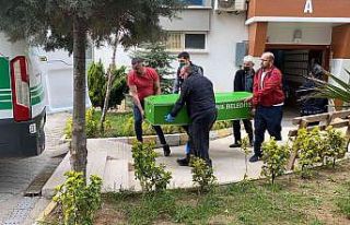 Kendisinden haber alınamayan öğretmen evinde ölü...