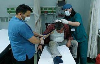 Kestiği armut dalı kafasına düşen şahıs hastanelik...