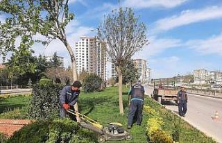 Kilis’teki park ve refüjlerde yaz hazırlığı
