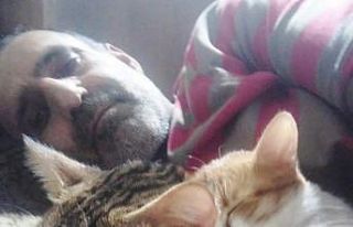 Kimsesiz yazar sokak hayvanları için kitaplarına...