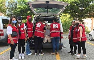 Kızılay aracını kirli gören Fatma Teyze’nin...