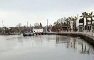 Kocaeli körfezi çöplüğe döndü