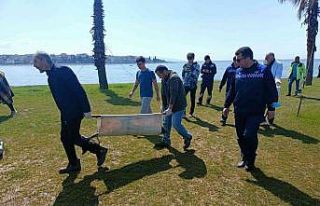 Kocaeli’de ölü yunus sahile vurdu