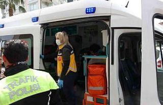 Kontrolden çıkan ticari araç refüjdeki palmiyeye...