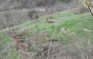 Köy yolunun çöktüğü bölgede ikinci heyelan