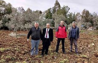 Köyceğiz’de fideler toprakla buluştu