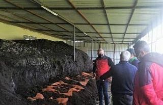 Köyceğiz’de solucan gübresi üretimi için araştırma