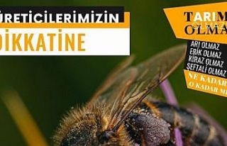 Köyceğizli üreticilere, arıcılık faaliyetleri...