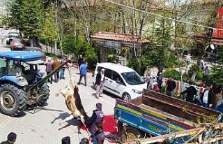 Köylüler bela ve kazalara karşı kurban kesip dua...