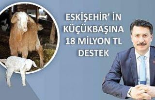 Küçükbaş hayvancılığa 18 milyon lira destek