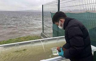 Küçükçekmece Lagünü Islah Projesi başlatıldı