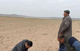 Kulu’da kum fırtınası ekili alanlara zarar verdi