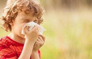 Küresel ısınma alerjik nezlelerin artış nedenlerinden