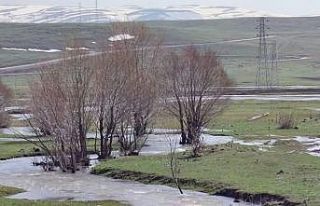 Kuru dere suya kavuştu