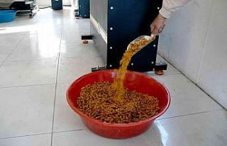 Kuşadası Belediyesi can dostlar için mama üretimine...